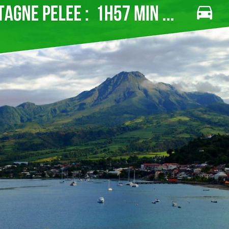 La Villa Noemie - Parking - Proche Des Plages แซ็งแตนน์ ภายนอก รูปภาพ