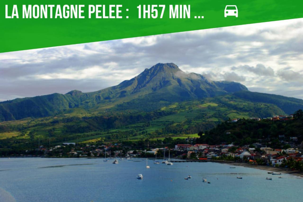 La Villa Noemie - Parking - Proche Des Plages แซ็งแตนน์ ภายนอก รูปภาพ